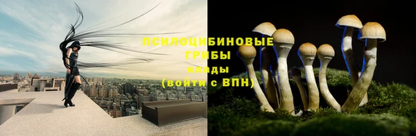 марки nbome Богданович