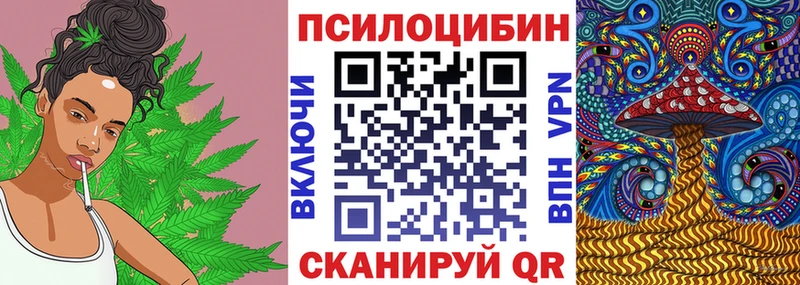 сколько стоит  Новомосковск  Галлюциногенные грибы Magic Shrooms 