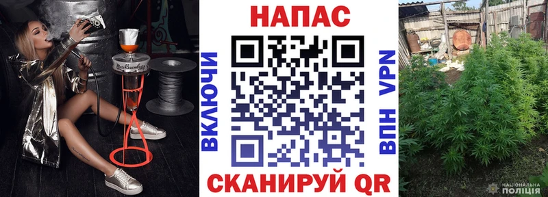 Бошки Шишки OG Kush  Новомосковск 